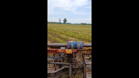 rekosone dadi petani