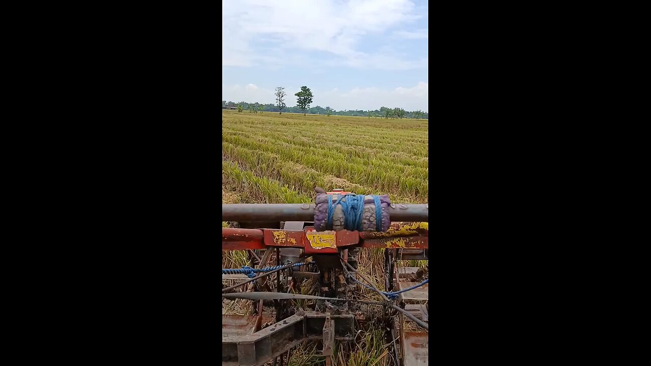 rekosone dadi petani