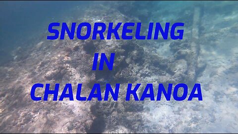 SNORKELING IN CHALAN KANOA! Saipan Island! 찰란 카노아에서 스노클링