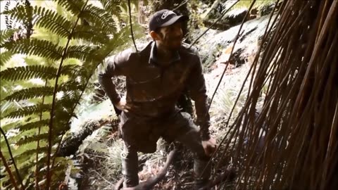 Roar hunt with bow and rifle