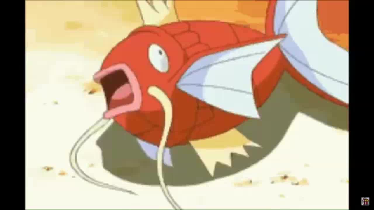 Magikarp Mayhem