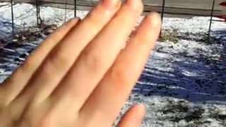 January snow re upload 2014