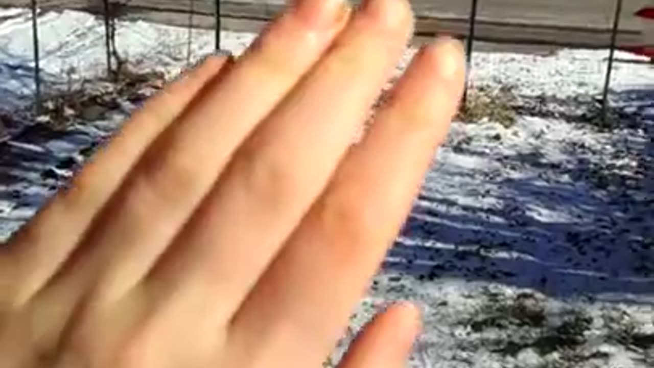 January snow re upload 2014