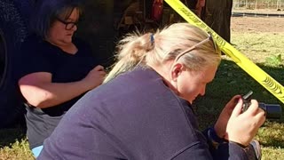 BC Ostriches 💔🇨🇦Last Video 😢