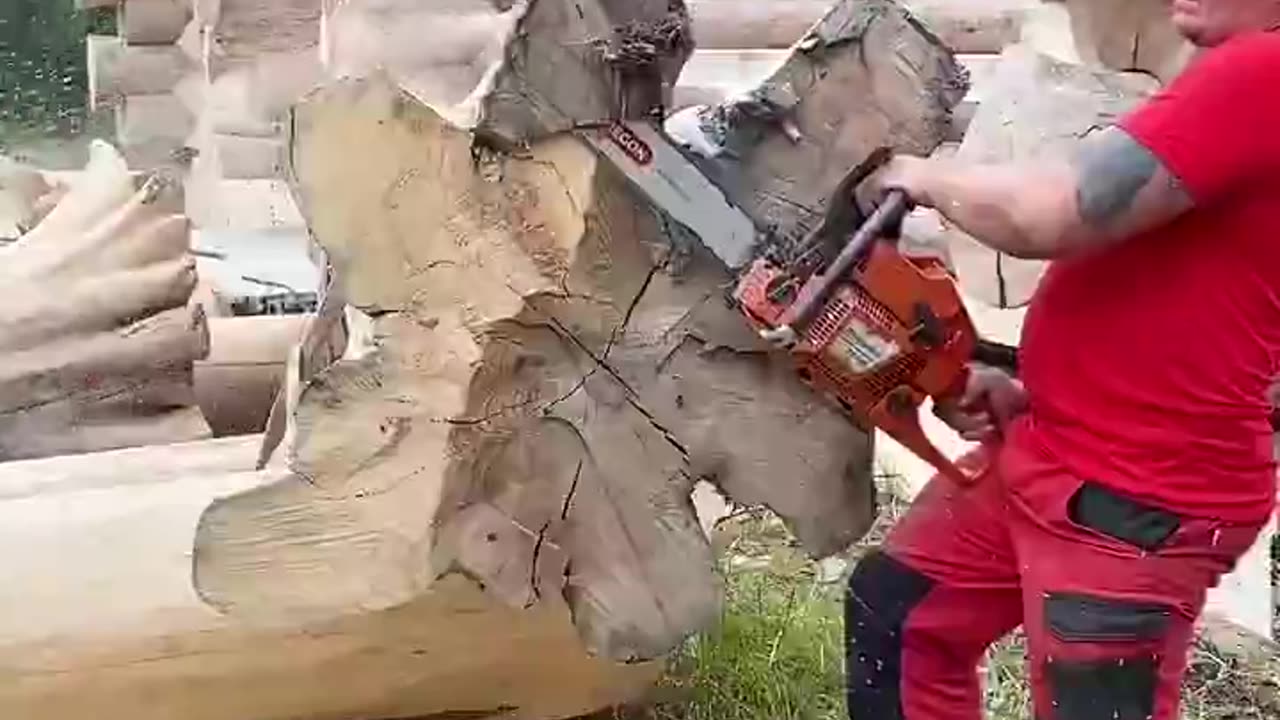 Building an amazing wooden house that will stand the test of time!