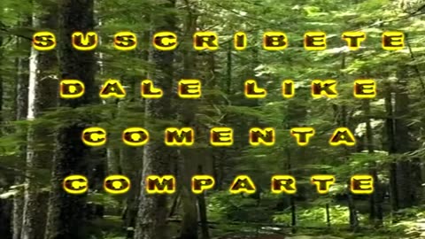 LOS LAZOS EMOCIONALES TAMBIÉN SON ENERGÍA