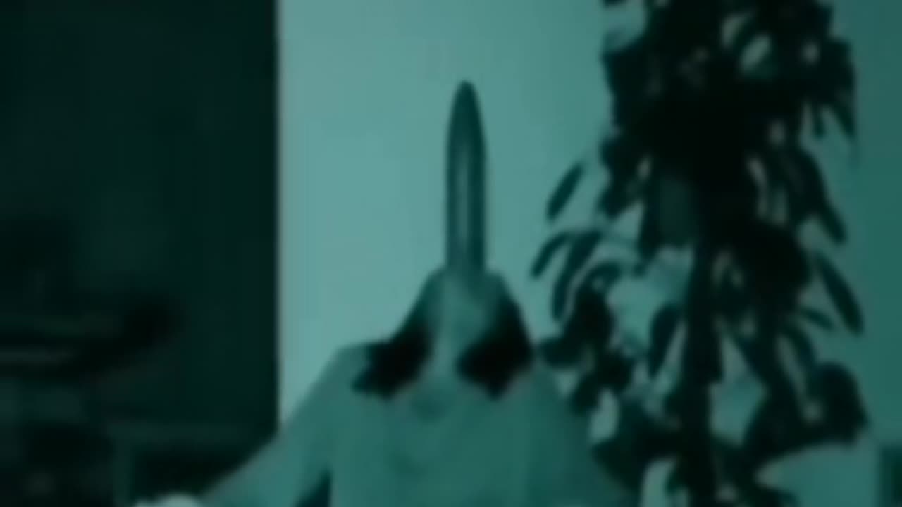 😱👻 You Won't Believe What They Caught on Camera! Ghost | TheHauntingHour