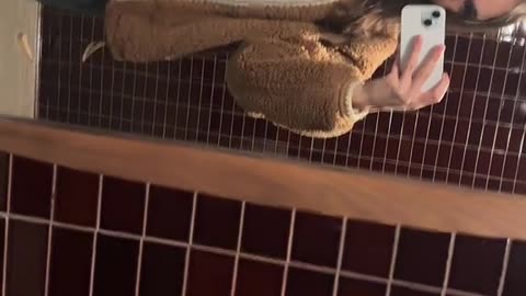 Great tgirl to be my woman