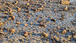 Abbey Slip liminality & meltology, 2025