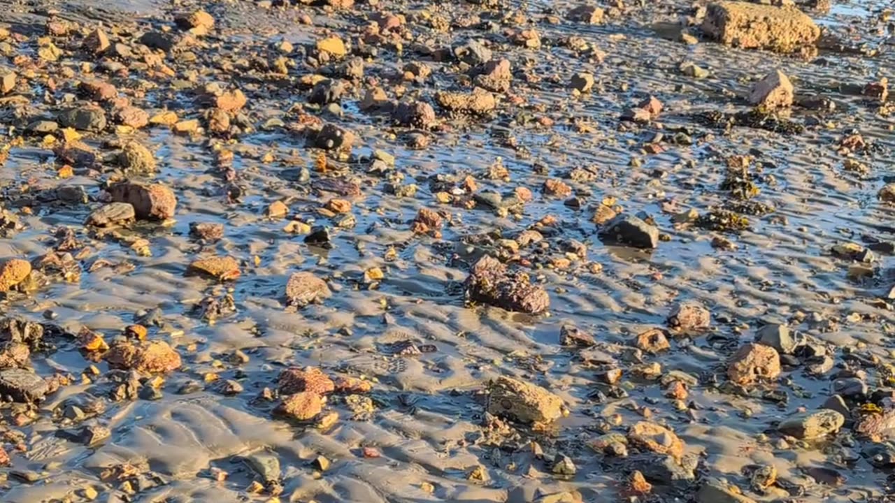 Abbey Slip liminality & meltology, 2025