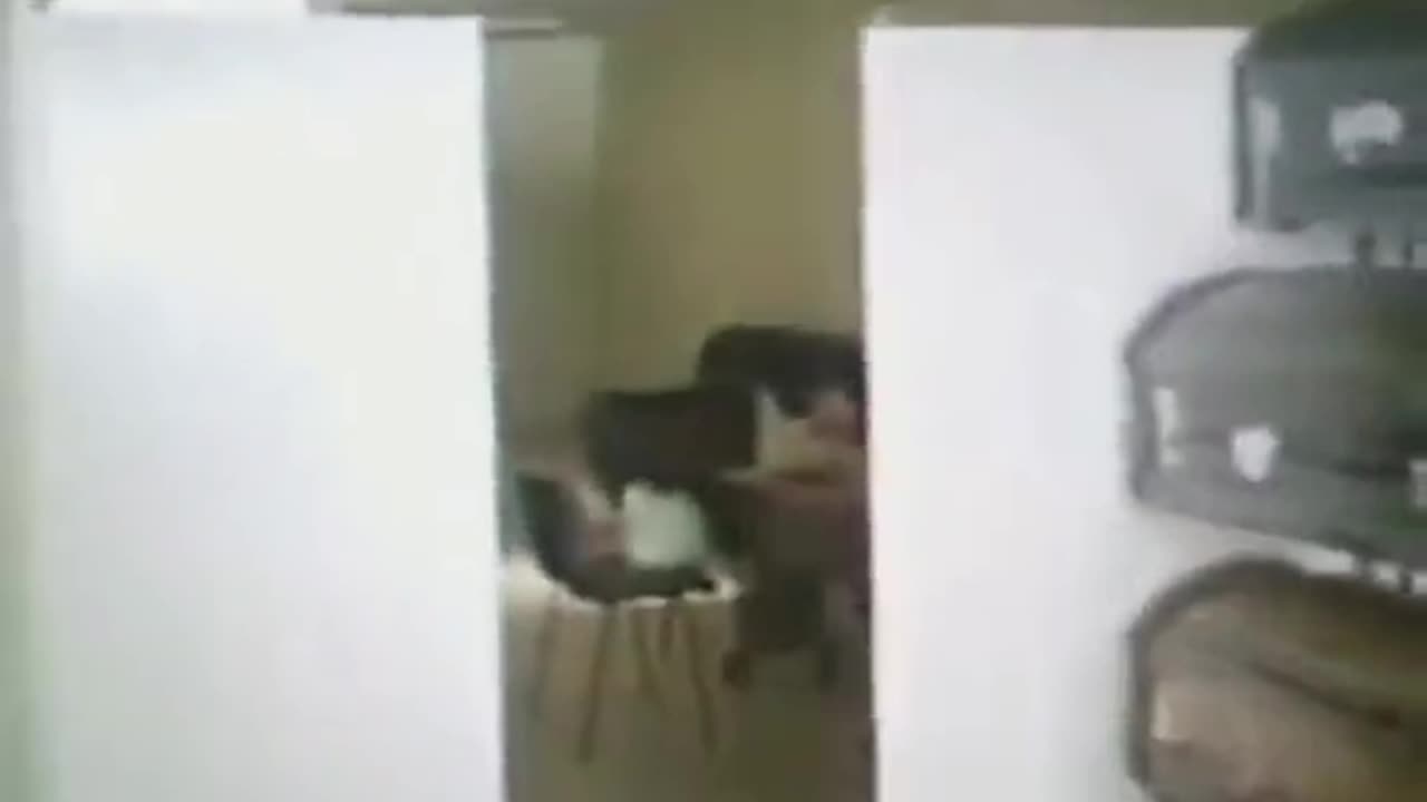 😱👻 Ghost Caught on Camera! | TheHauntingHour