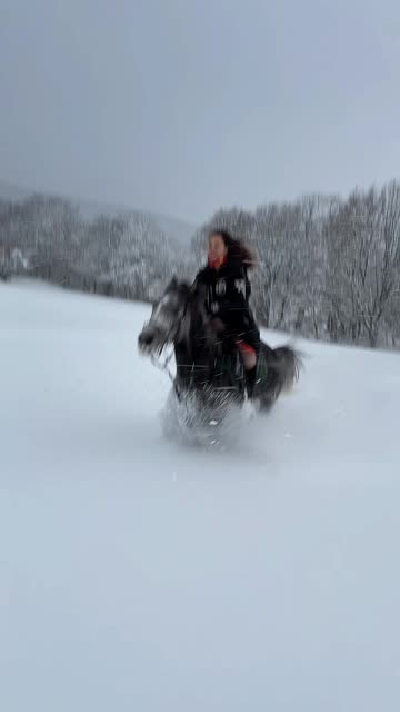 riding wild horses on snow