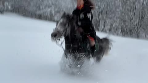 riding wild horses on snow