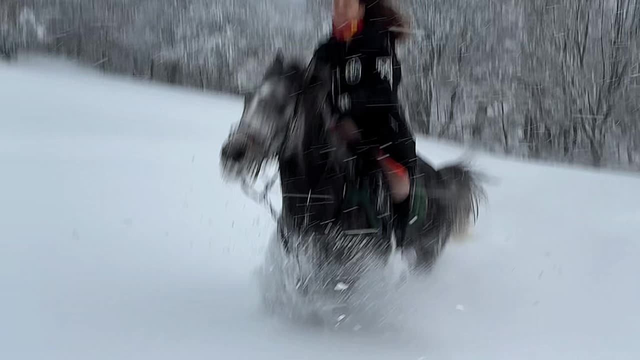 riding wild horses on snow