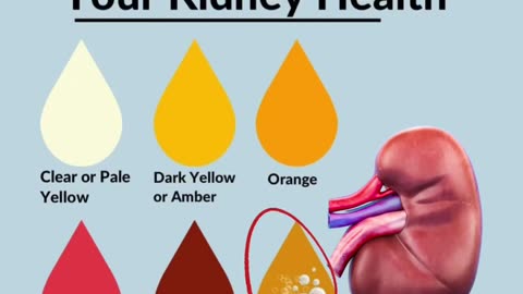 What Your Urine Color Says About Your Kidney Health