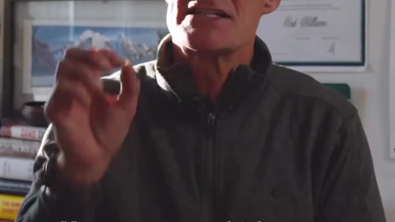 Rothschild BlackRock WEF Power.