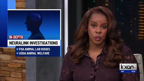 ALERT⚠️ | NEURALINK TO START MASS PRODUCTION OF BRAIN