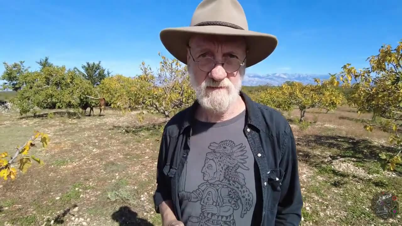 TheCrowhouseOfficial - Max Igan - Social Breakdown