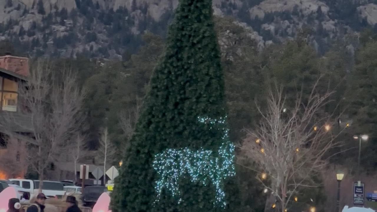 Elk Silhouettes In Christmas Tree Lights