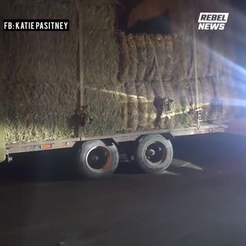 📌 Section: On-the-Ground Footage — Humanitarian Aid & Starvation Period