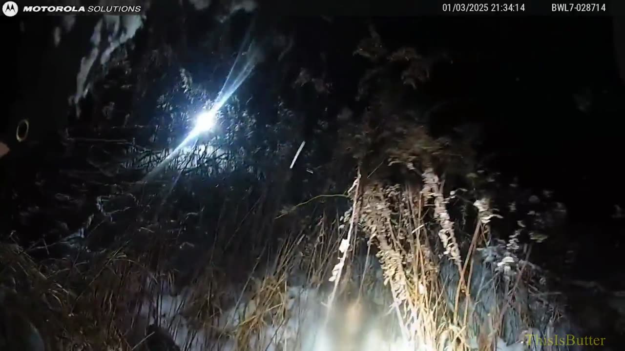 Bodycam video shows deputies rescue driver lost in snow