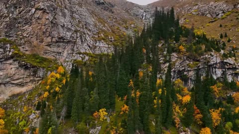 Lamp Light Lofi House Session