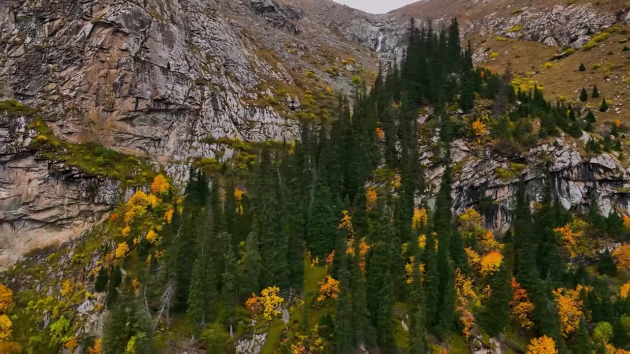 Lamp Light Lofi House Session