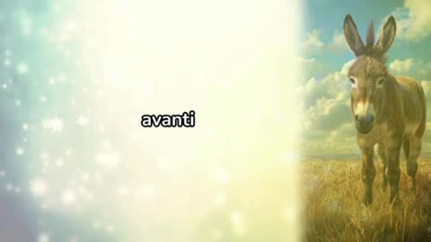 SPIRITUAL TIME: L'asino a cui tiravano la terra – Riflessioni e Saggezza