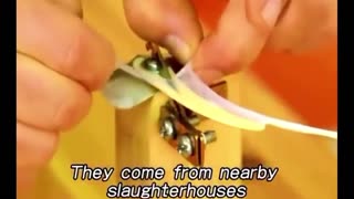 Daddy Goat 24/7 - Out Of Context Memes & Videos