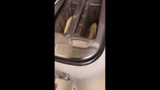 Daddy Goat 24/7 - Out Of Context Memes & Videos