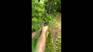 Daddy Goat 24/7 - Out Of Context Memes & Videos