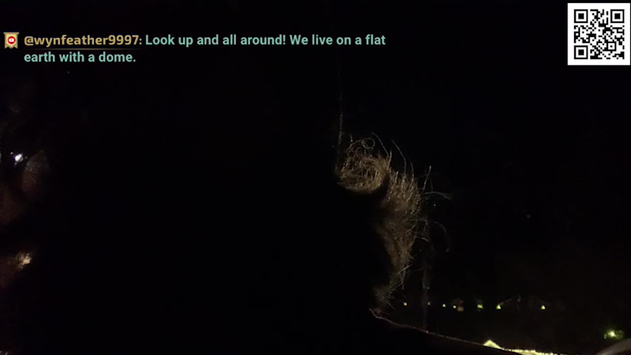 No Reading Tonight; Shavua Tov