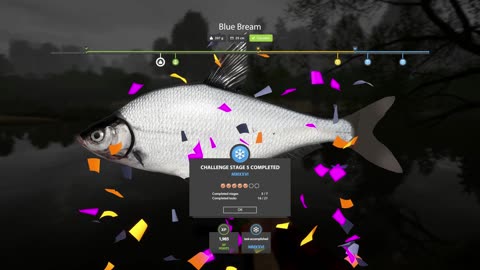 RF4 Blue Bream | Stage 5 Task 1 – Winding Rivulet | No Talking