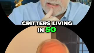 Boost Immunity: Discover the Power of Microbes in Your Gut!