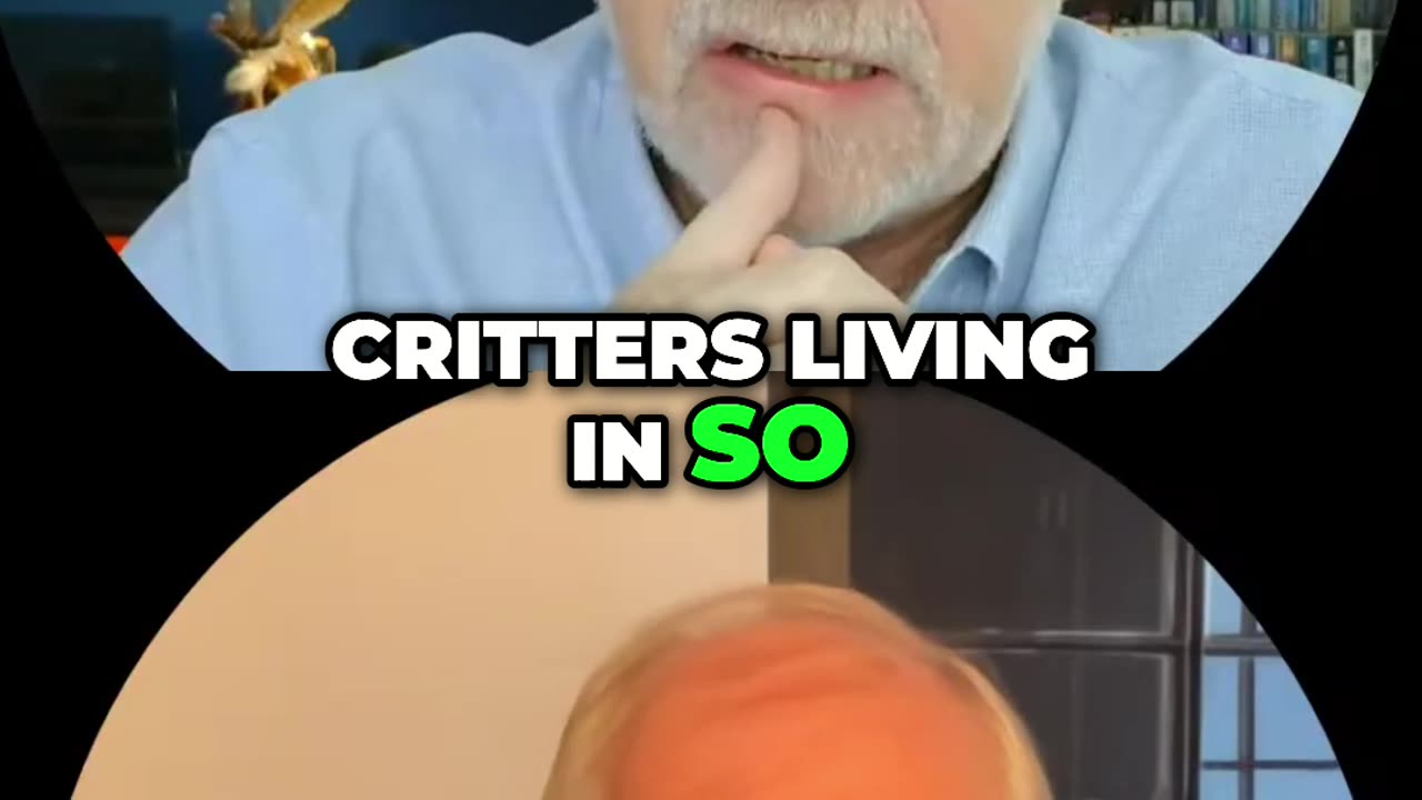 Boost Immunity: Discover the Power of Microbes in Your Gut!