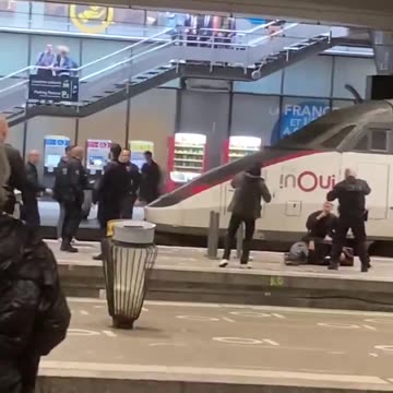 Evakuohet një stacion hekurudhor në Francë, policia neutralizon një person që mbante thikë