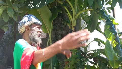 Cannabis & Consciousness | Judah Square Insights - Brother Mark