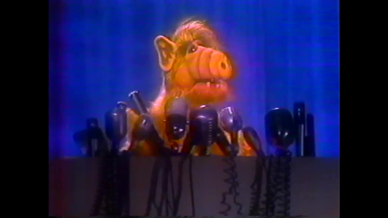 August 14, 1986 - 'Alf Promo' & Ad for Duane's Shoes in Lexington