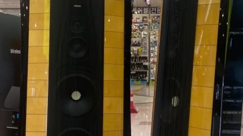 Sonus Faber Stradivari Plladio Speaker