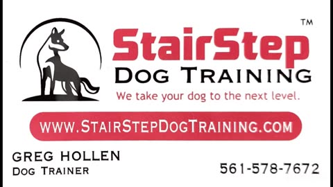 Honey working on heel