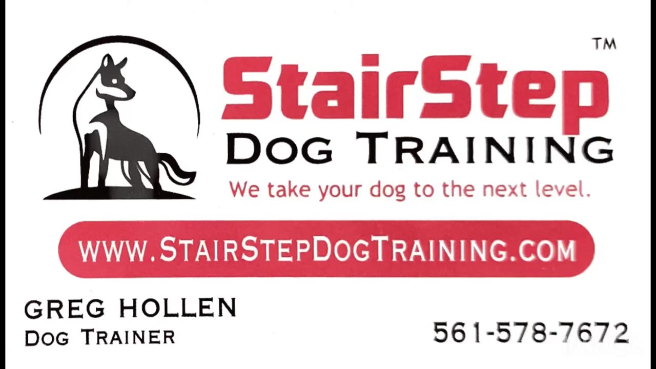 Honey working on heel