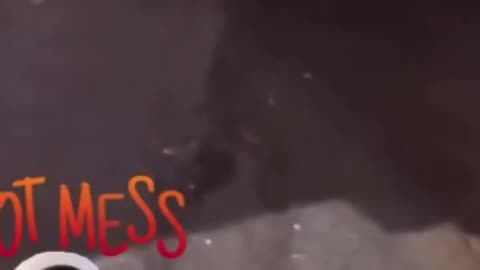 Diabolical