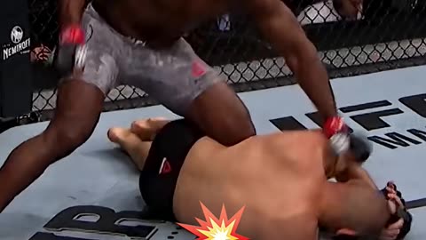 Joe Rogan