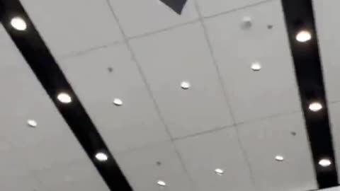 退屈な飛行機はもう終わり！紙でコウモリを作る方法をご紹介します。