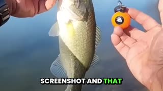Warm December Bass Hunt at Bethany Lakes | Ultralight Bait Casting Tips