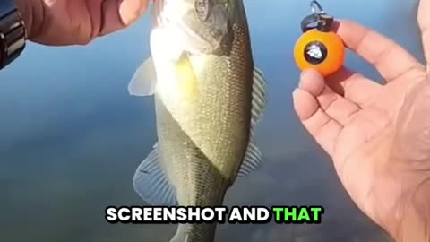 Warm December Bass Hunt at Bethany Lakes | Ultralight Bait Casting Tips