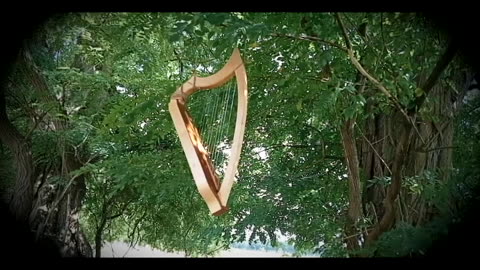 Neo-Gothic Harp. Aeolian & Ancient Willow Tree Music