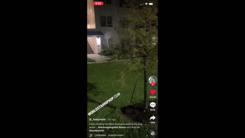 Karen Wont Let Black Woman Walk Her Dog In Peace