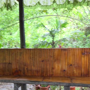 Bamboo Shines with a Fresh Varnish 🌟🌿