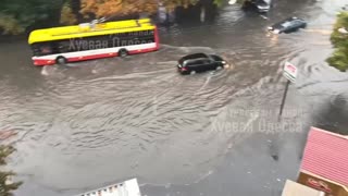 Odesa